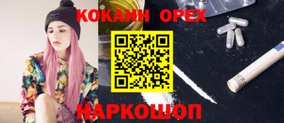 индика Будённовск